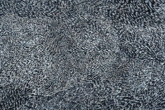 Photo: Scott Leen