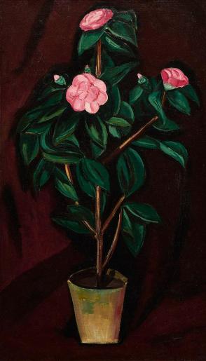 Camellias (also Camellias #2)