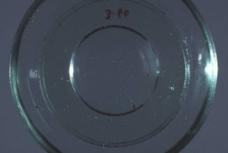 Snuff tray