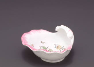 Scallop shell
