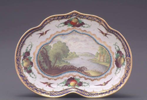 Dish