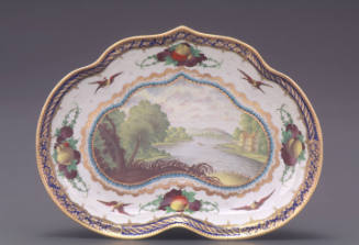 Dish