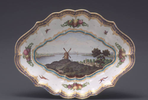 Dish