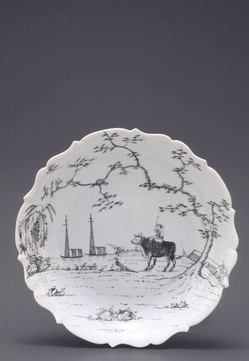 Dish