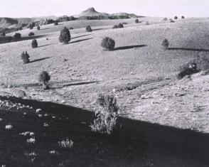 Chino Valley, Arizona