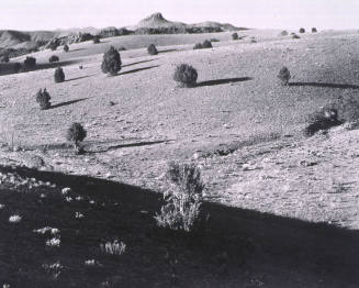 Chino Valley, Arizona
