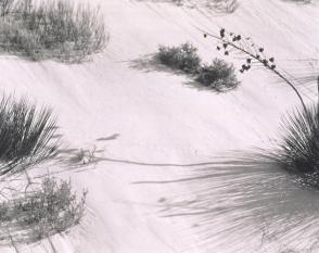 White Sands, New Mexico