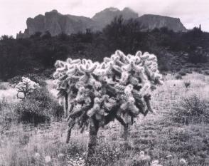 Superstition Mtns., Arizona