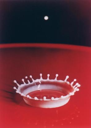 Milk-Drop Coronet (from a 1985 portfolio)