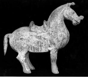 Horse with bell on nose