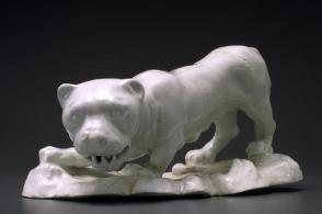Lioness