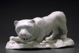 Lioness
