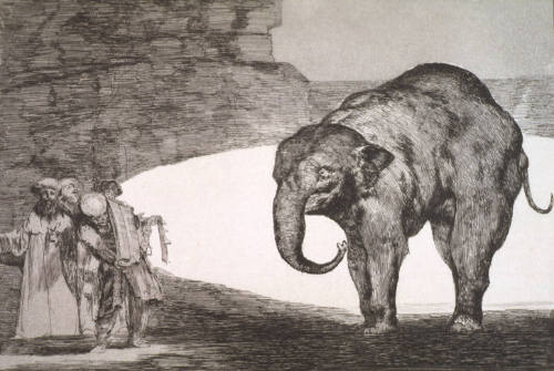 Disparate de Bestia (Animal Foolishness)