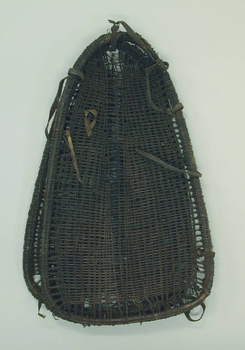Carrier (Ildiretta)