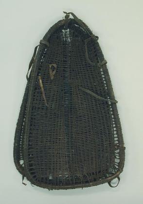 Carrier (Ildiretta)