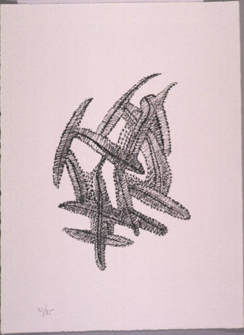 Untitled (Feathers-Blue)