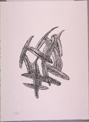 Untitled (Feathers-Blue)