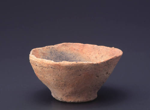 bowl