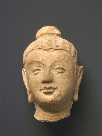 Head