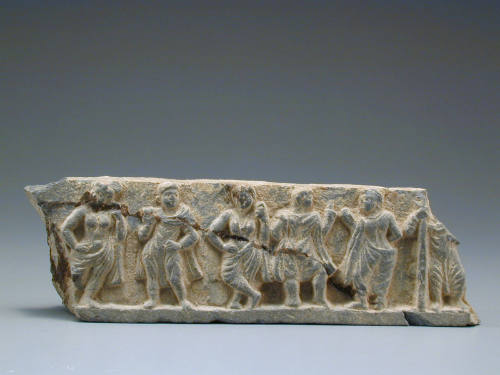 Shist fragment