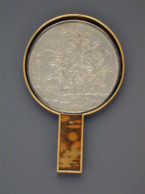 Mirror with covered case