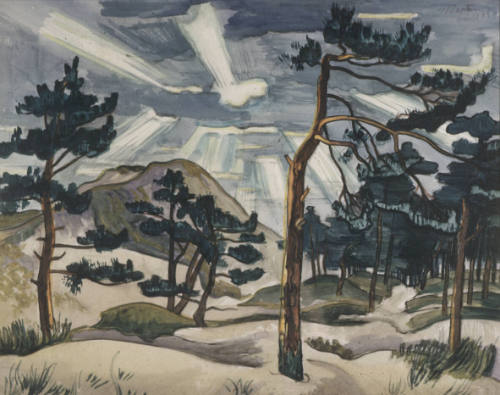Pines and Dunes