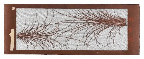 Large yukata stencil (katagami)