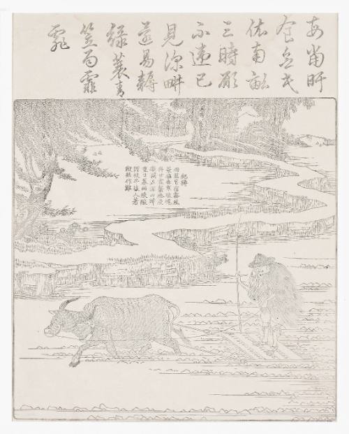 Tilling rice paddy in stormy weather