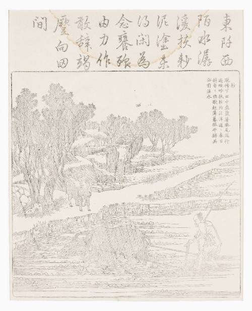 Tilling rice paddy in dry weather