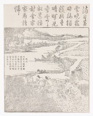 Harvesting rice