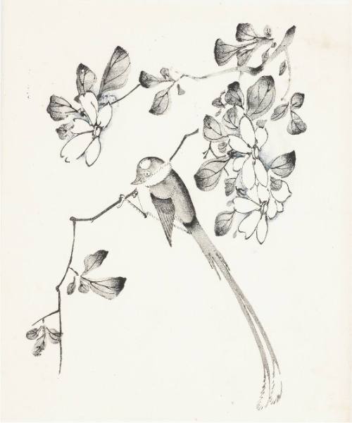 Photo: Beth Mann