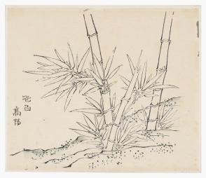 Ten Bamboo Series