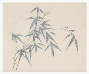 Ten Bamboo Series