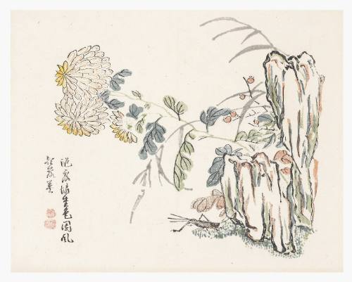 Chrysanthemum, Mustard Seed Garden Manual
