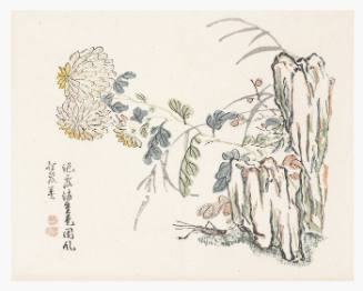 Chrysanthemum, Mustard Seed Garden Manual