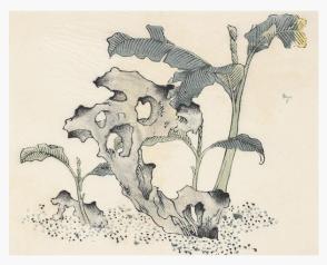 Ten Bamboo Series