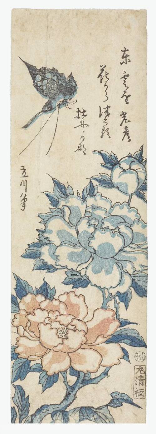Peonies