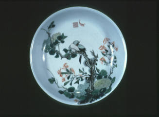 Famille verte Plate