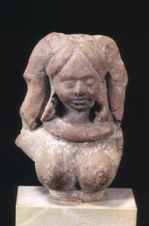 Head and torso of a young woman