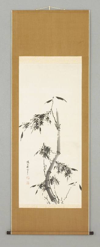 Bamboo