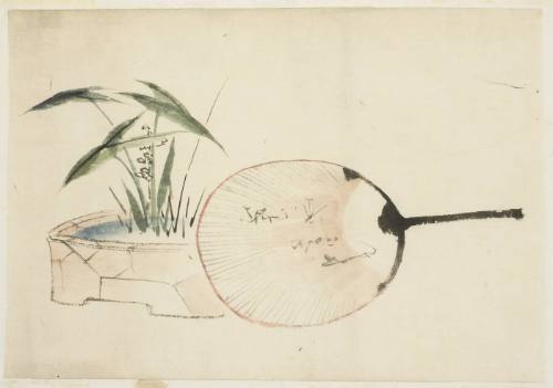 Fan and Plant Arrangement