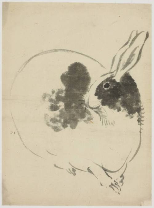 Spotted Rabbit