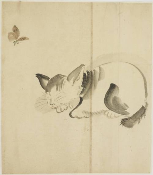 Butterfly and Sleeping Cat