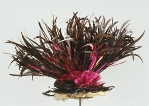 Feather headdress