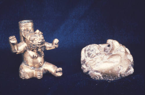 Bear and tiger fighting