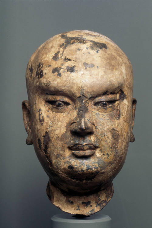 Head of a Luohan