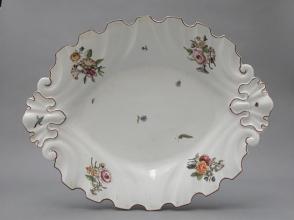 Dish