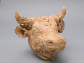 Head of a Bull