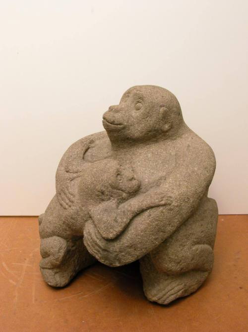 Monkey Holding Baby