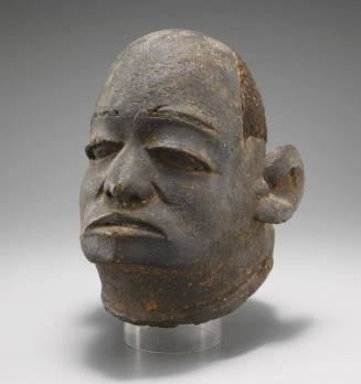 Helmet Mask